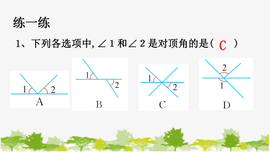 青島版七年級數學下冊84對頂角課件共15張ppt