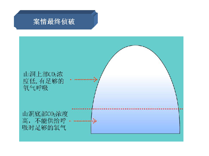 人教版九年级化学上册6.3二氧化碳和一氧化碳课件(共28张PPT)