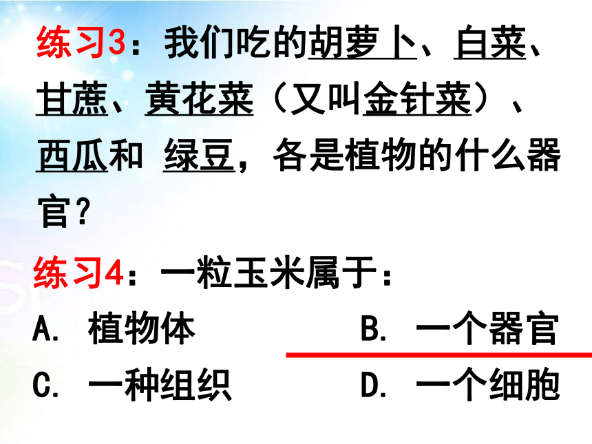 2.2.3植物体的结构层次 课件（25张PPT）