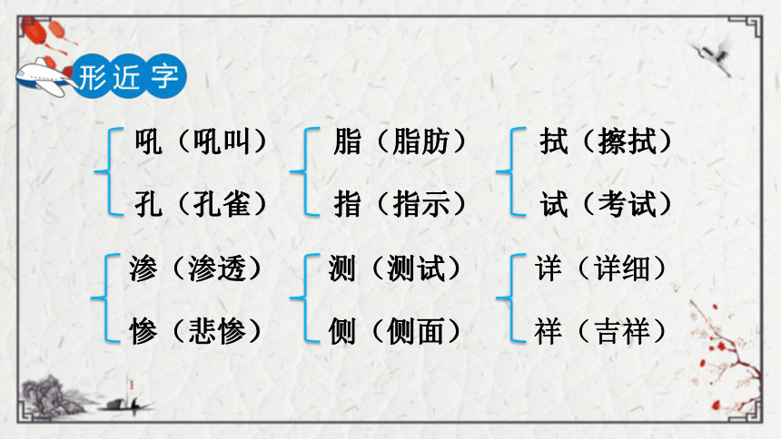 5琥珀课件44张ppt