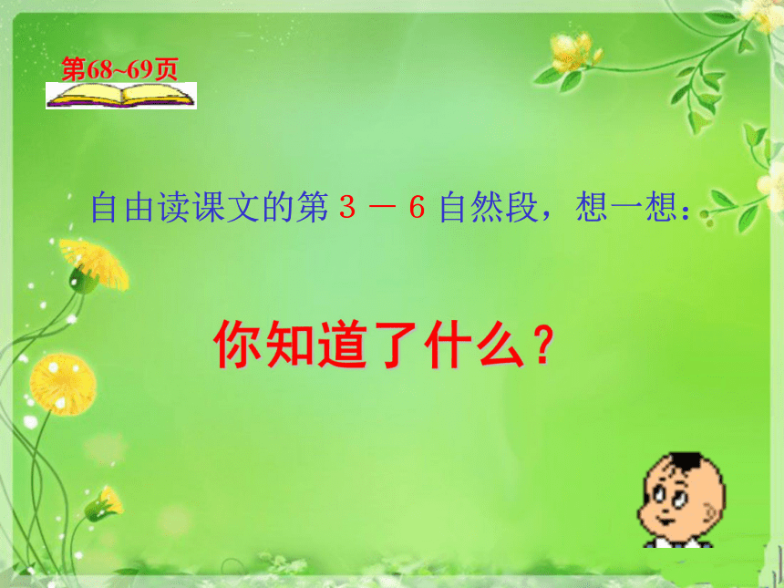 浙教版四年级下册《我爱故乡的杨梅》PPT课件