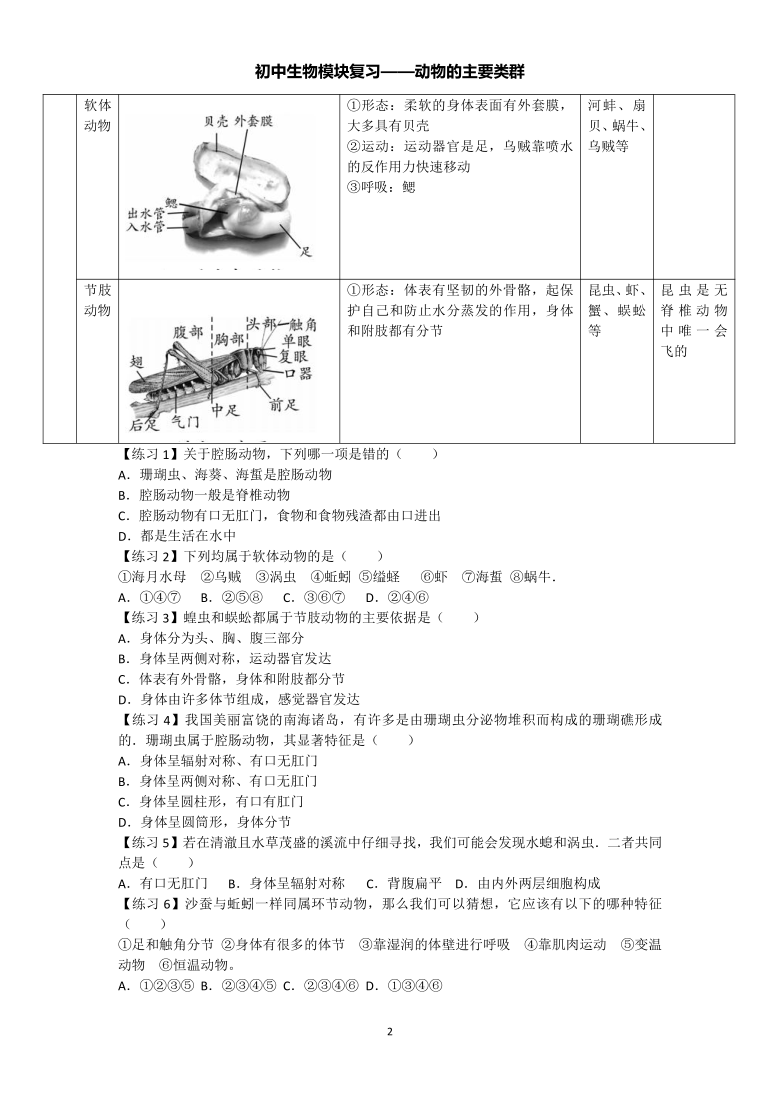 初中生物模块复习（八上1）——动物的主要类群
