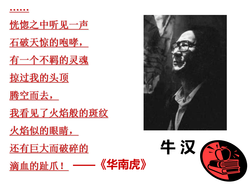 3.《我的第一本书》PPT