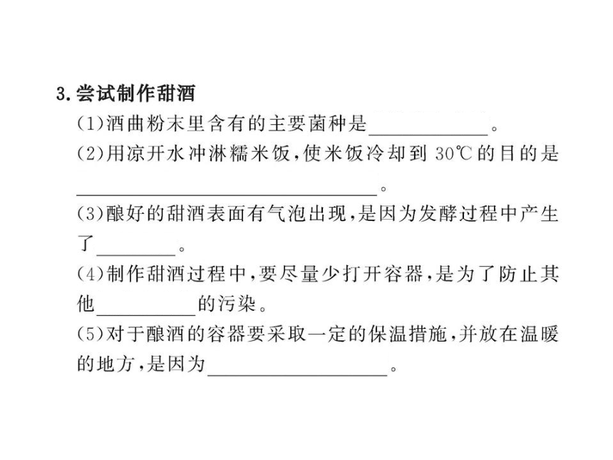 第二节 人类对细菌和真菌的利用