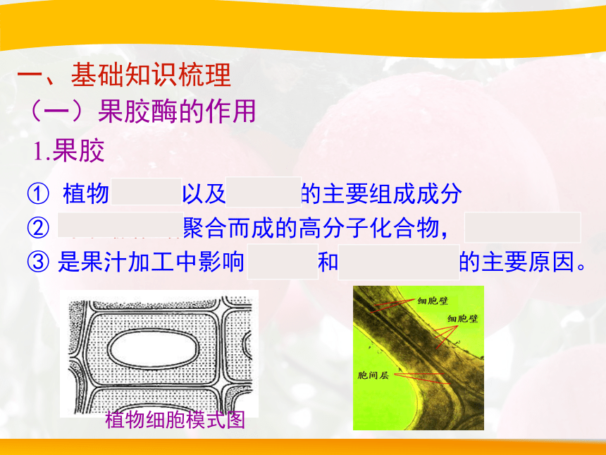 人教课标版高中生物选修1教学课件：4.1《果胶酶在果汁生产中的作用》（共19张PPT）