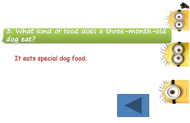 Module 1 Relationships  Unit 2 Our animal friends 课件（31张PPT）