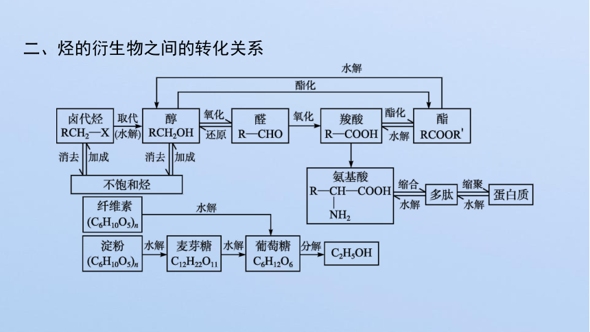 20212022學年高中化學新魯科版2019選擇性必修3第2章官能團與有機化學