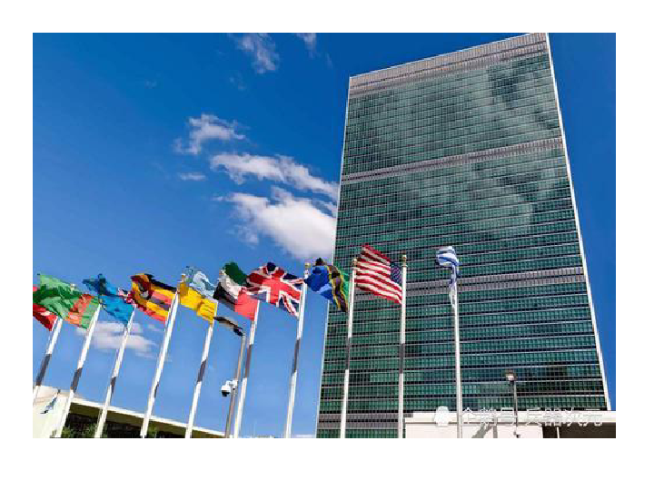 第20课联合国与世界贸易组织课件共20张ppt