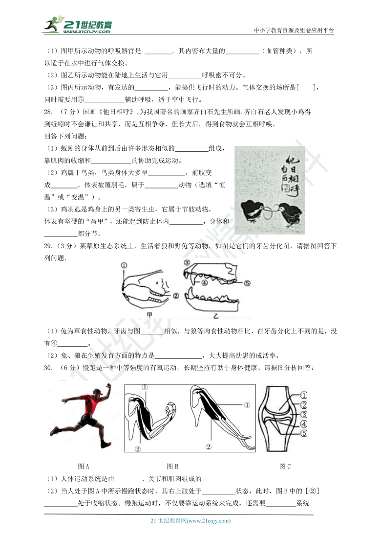 人教版八上2020-2021学年第一学期期中生物质量检测(含答案)