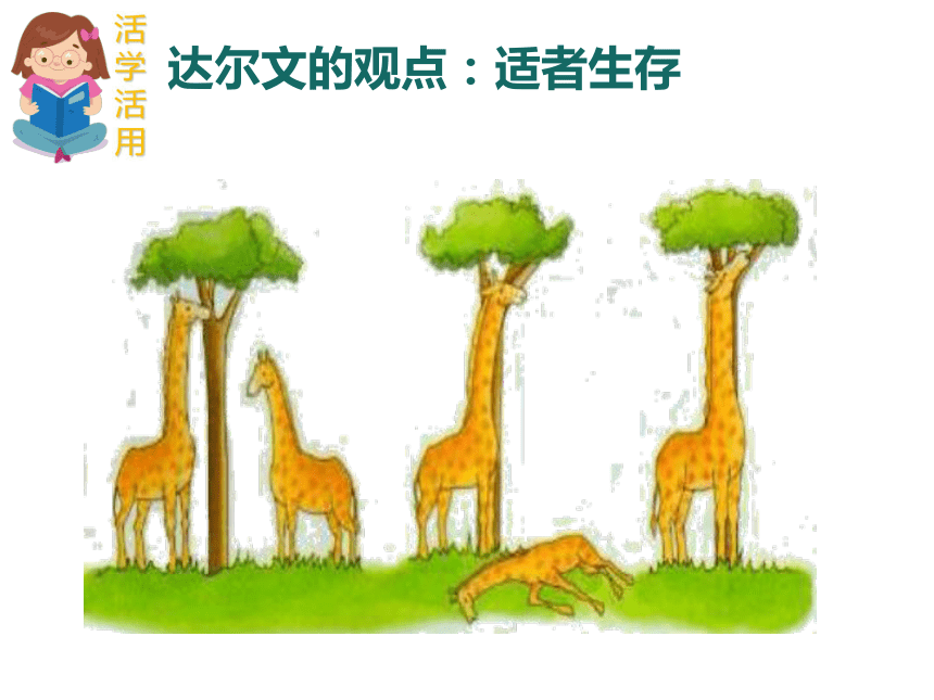 的秘密 (共13張ppt)環球科學考察路線圖達爾文生物進化的秘密1