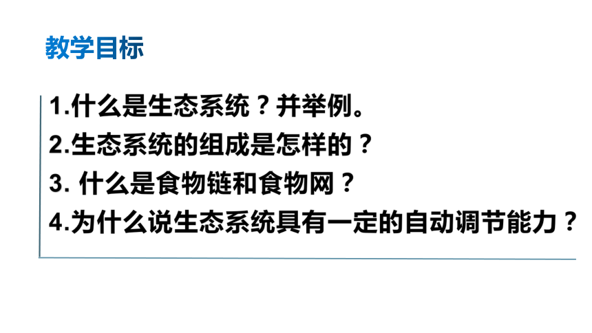 1.2.2生物与环境组成生态系统课件（共27张PPT)