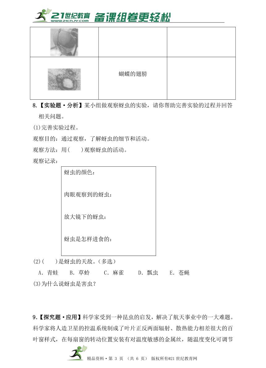 教科版六年级科学下   2.放大镜下的昆虫世界同步练习（含答案）