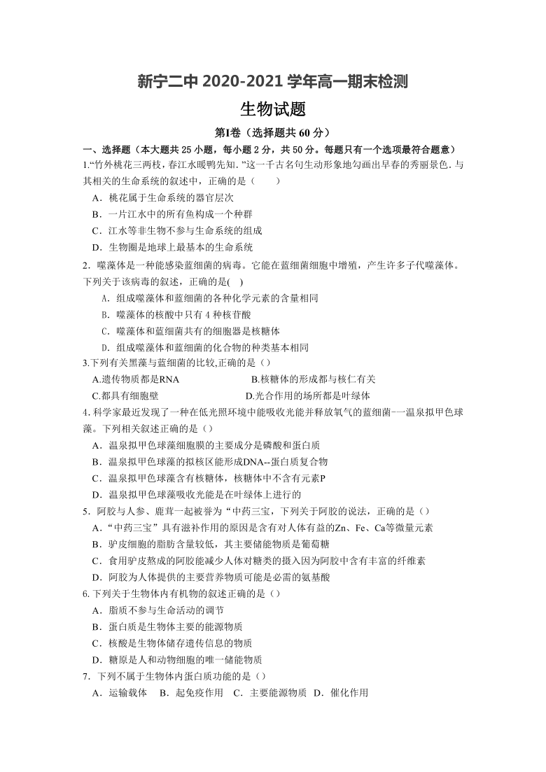 湖南省邵阳市新宁县第二中学2020-2021学年高一期末检测生物试卷    含答案