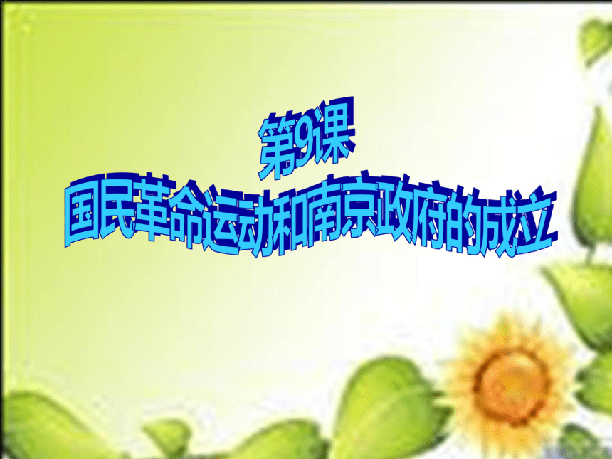 华师大版八上第9课 国民革命运动与南京国民政府的成立（27张）