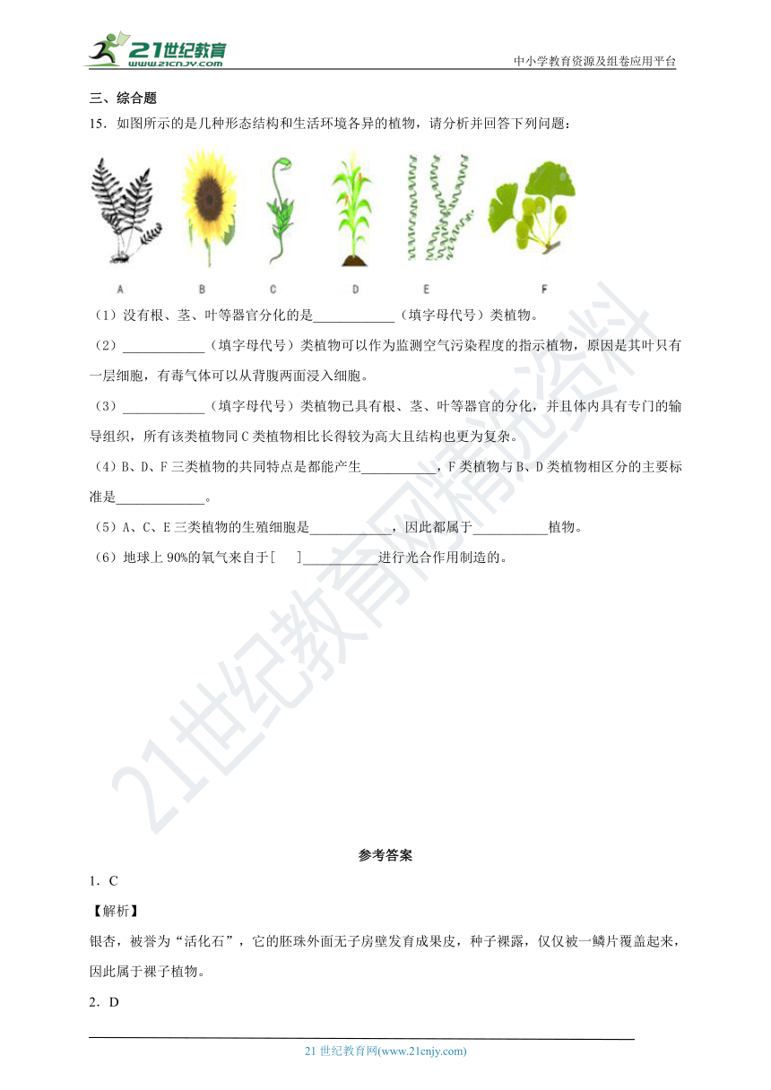 3.5 裸子植物 练习