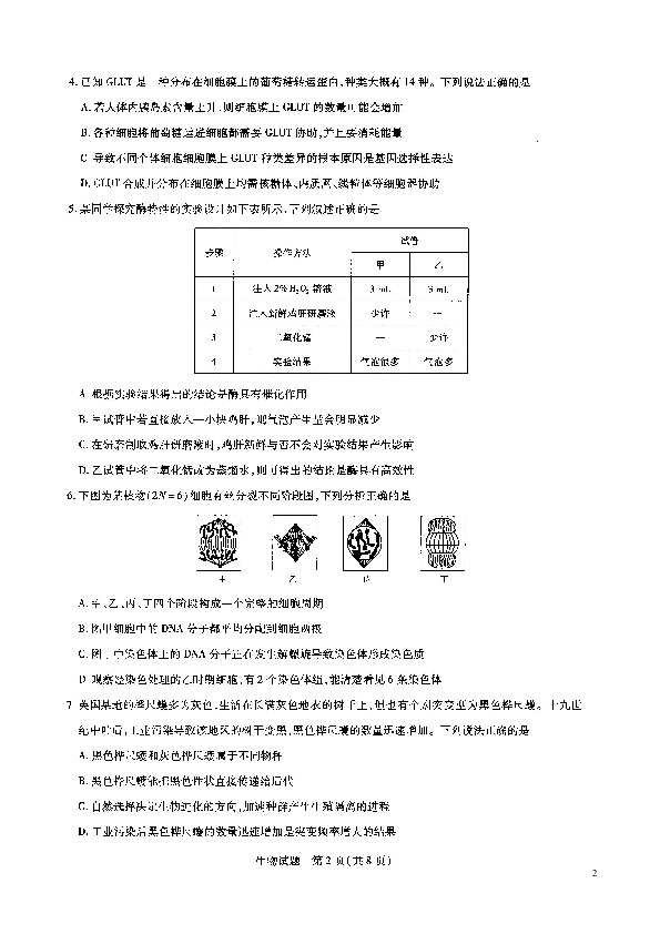 河南省名校大联考2018-2019学年高二下期阶段测试（四）（期末考试）生物试题（扫描版）