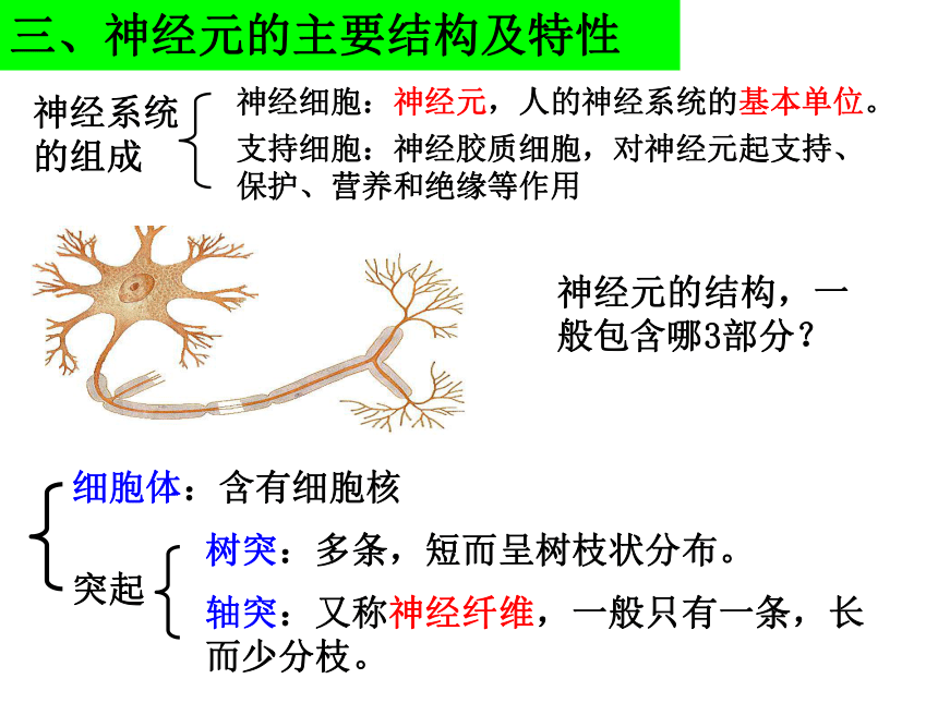 高中生物浙科版必修3第二章  动物生命活动的调节第二节神经系统的结构与功能 课件(共59张PPT)