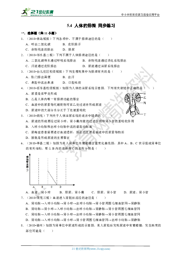 5.4 人体的排泄 同步练习