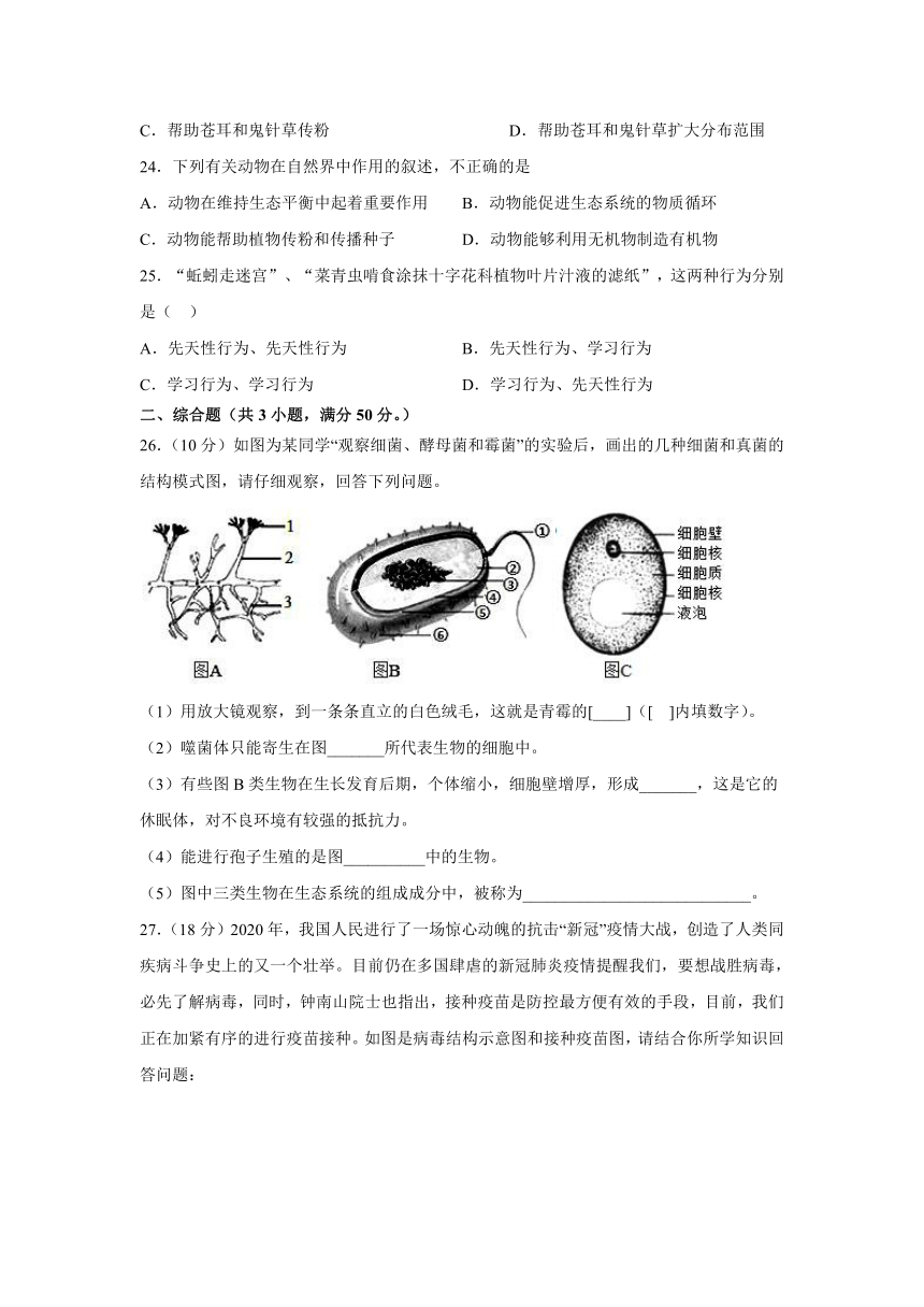 安徽省滁州市定远县育才学校2021-2022学年八年级上学期期中考试生物试题（word版含解析）