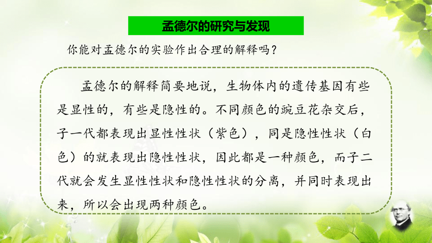 六年級下冊科學課件23尋找遺傳與變異的秘密課件11ppt