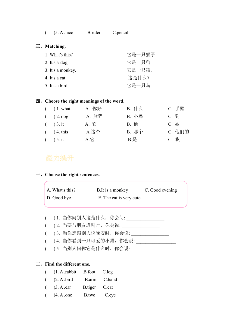 Unit 3 Animal！同步练习（含答案）