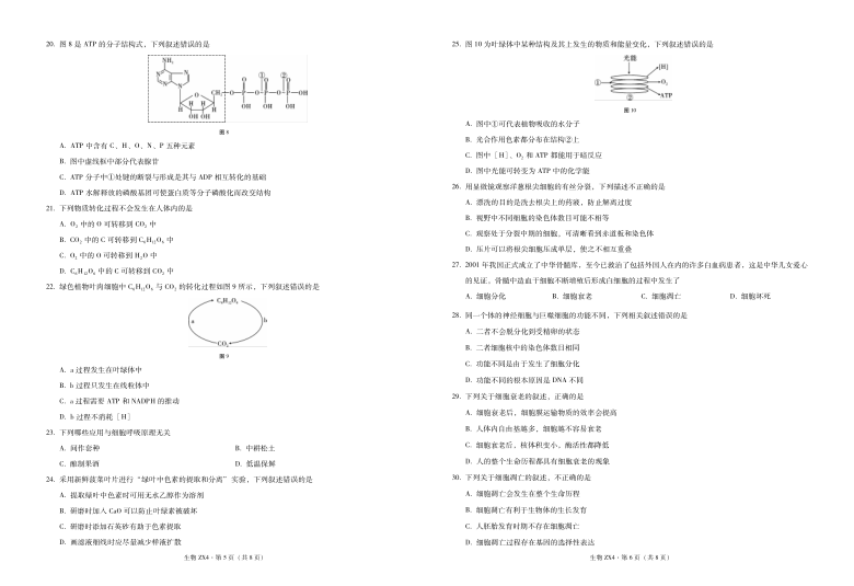 云南省镇雄县第四高中2020-2021学年高一上学期期末考试生物试题（PDF版）含解析