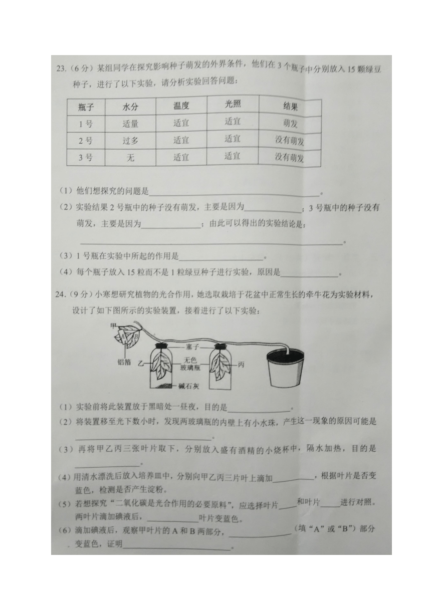 上海市浦东新区2016-2017学年六年级（五四学制）下学期期末考试科学试题（图片版，含答案）