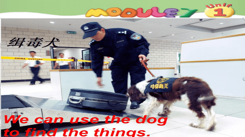 Unit 1 This dog can help him 课件