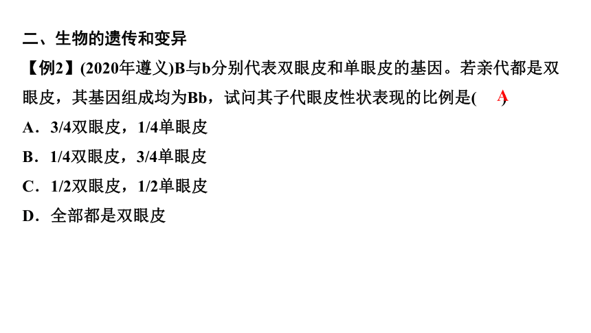 2021年辽宁省中考生物二轮专题复习 专题六生物的延续和发展课件（30张PPT）