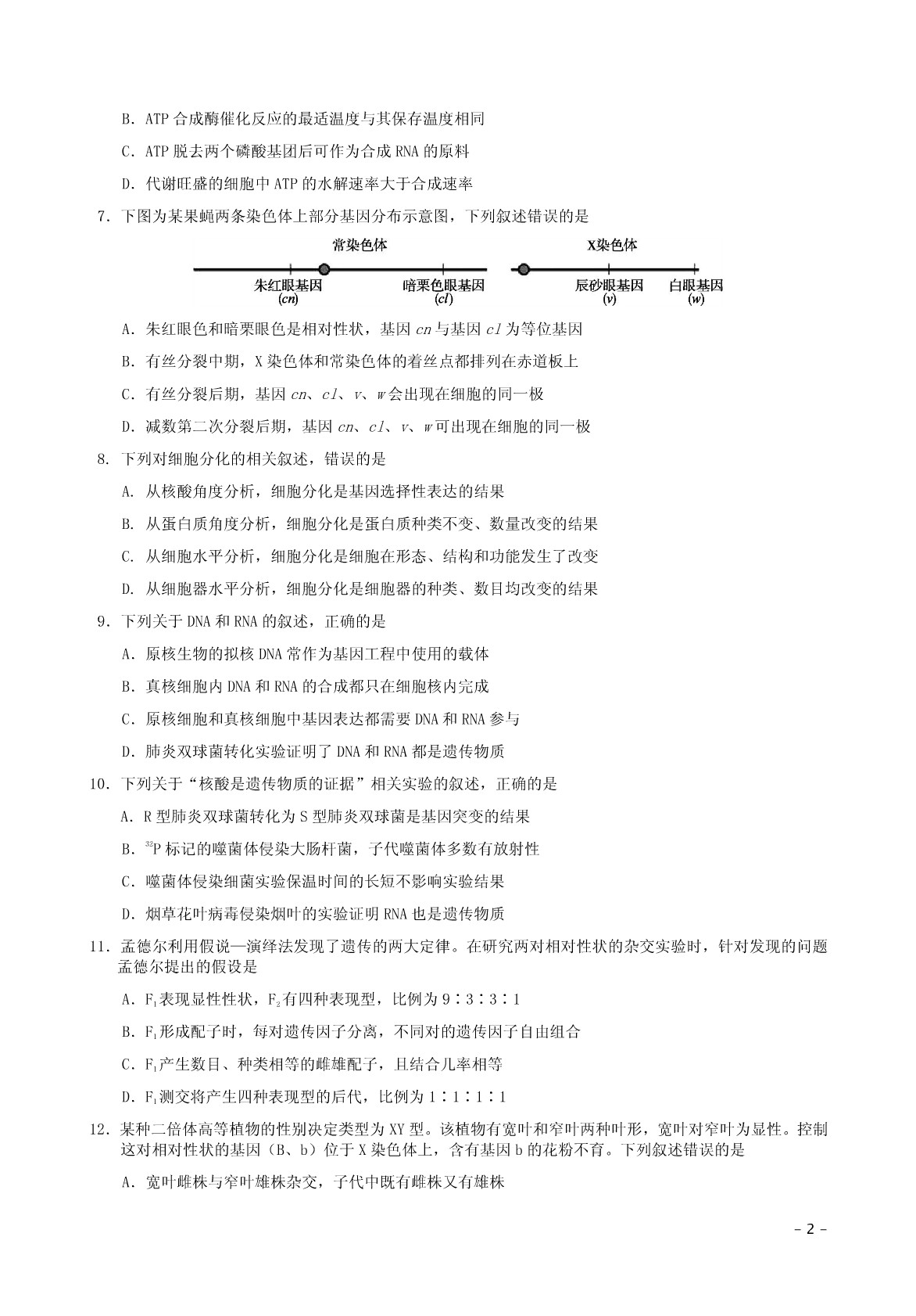 北京市朝阳区2019-2020学年上学期高三生物期中质检试卷（PDF版）