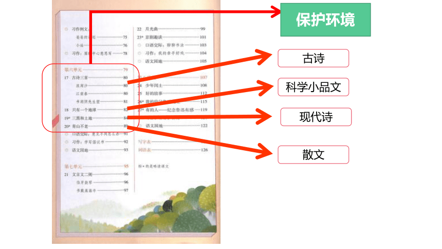 统编版语文六年级上册第六单元主题阅读课件（16张PPT)