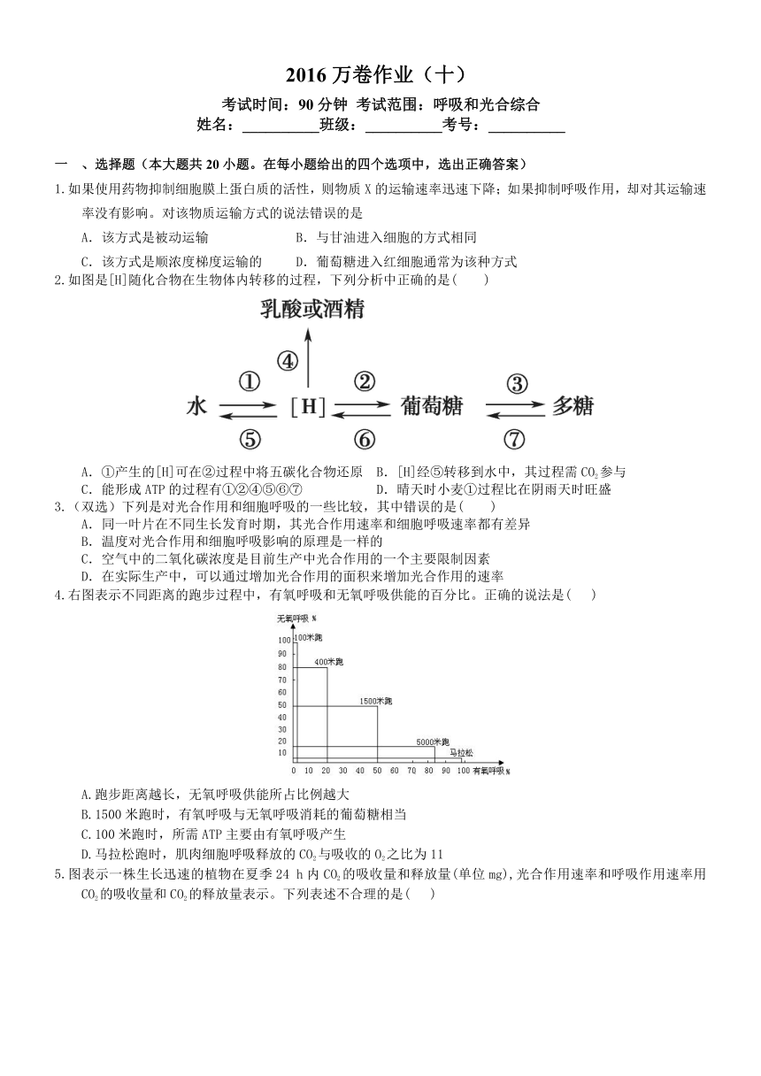 （衡水万卷）2016届高三生物二轮复习高考作业卷（含答案解析）作业（十） 细胞呼吸和光合综合二