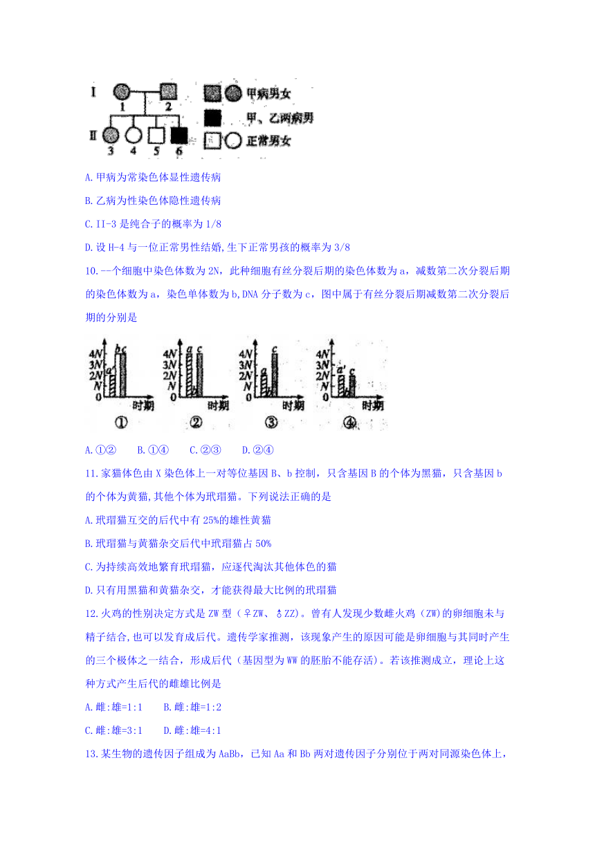 河南省濮阳市2016-2017学年高二上学期期末考试生物试题(A卷) Word版含答案