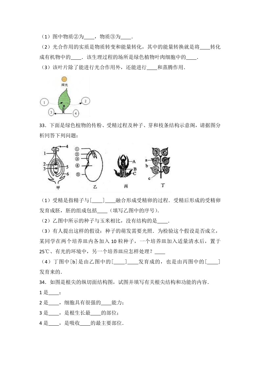 辽宁省抚顺市新宾县2016-2017学年七年级（上）期末生物试卷（解析版）