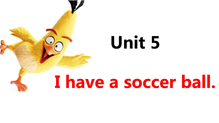 Unit 5 Do you have a soccer ball词汇语法精讲精练 实意动词句式变化思维导图课件34张