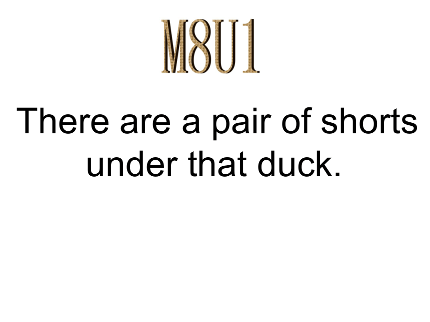 英语一年级下外研版(一起)《Module8Unit 1 There’s a pair of shorts under that duck》课件