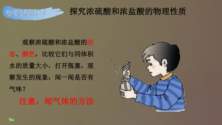 第一节 酸及其性质 课件（20张PPT）