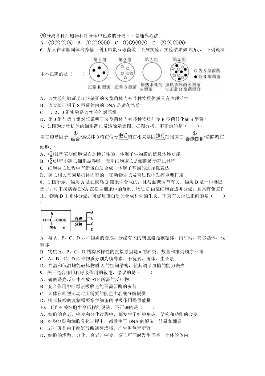 福建省莆田二十五中2015-2016学年高三（上）第二次月考生物试卷（解析版）