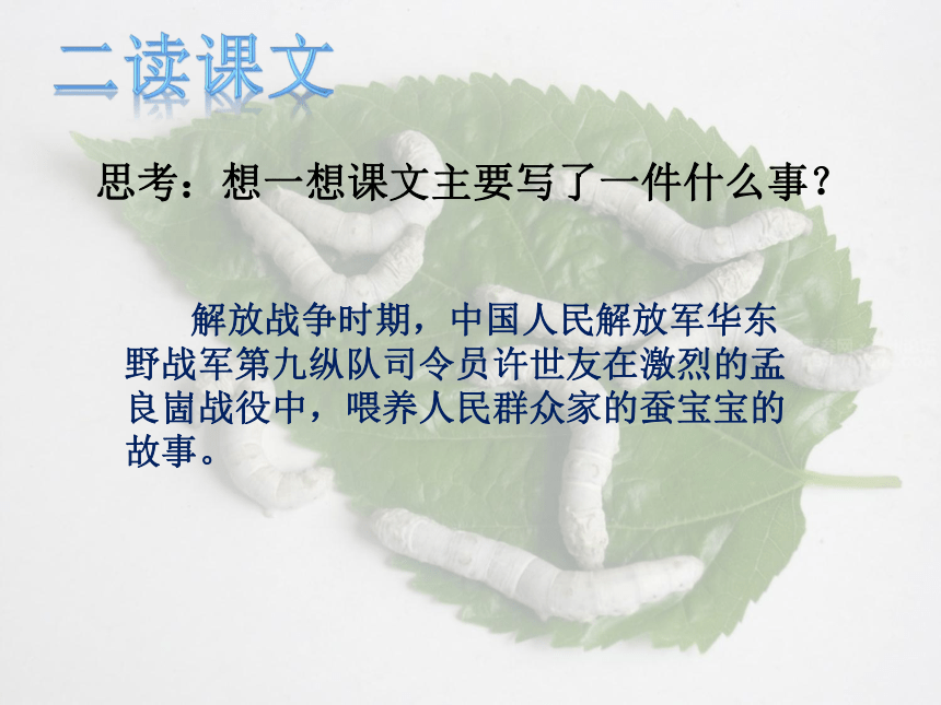 紫桑葚 课件 (共22张PPT)