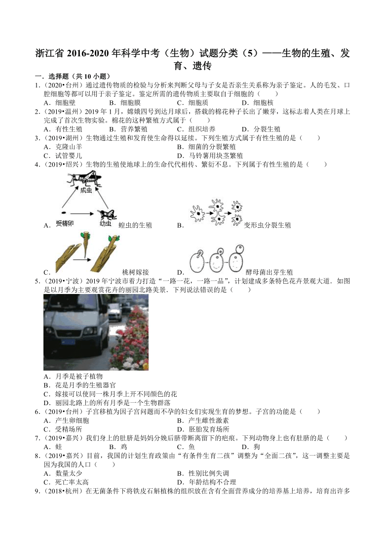 浙江省2016-2020年科学中考（生物）试题分类（5）——生物的生殖、发育、遗传（含答案）