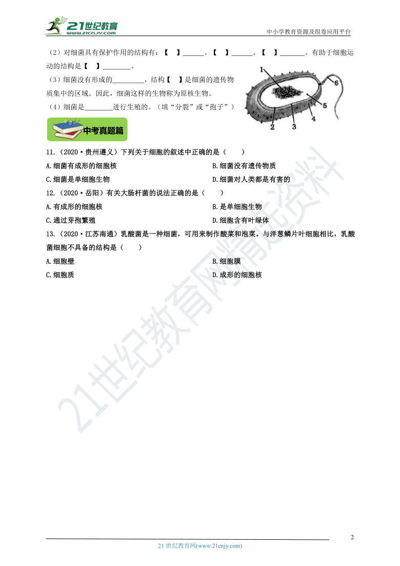 5.1.1《细菌》精编精炼（含答案）