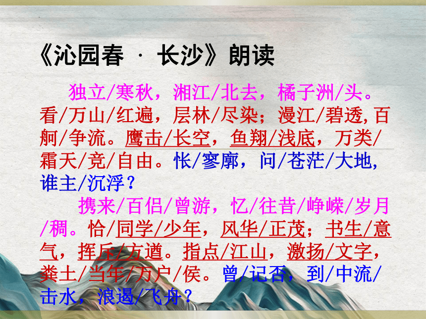 课件预览