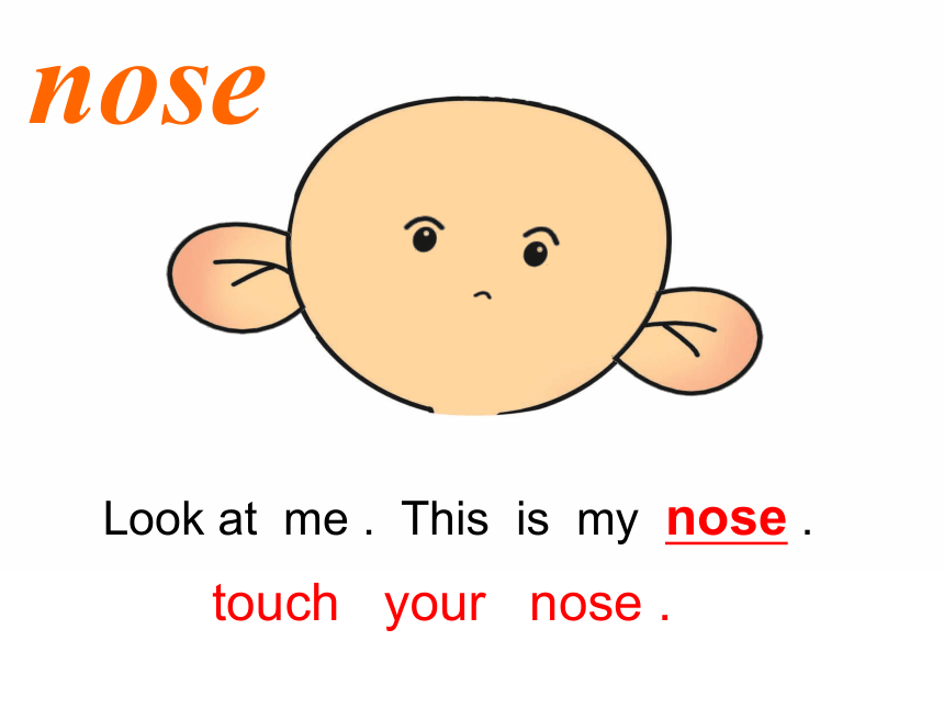 英语三年级上人教(新版)《Unit 3 Look at my nose》(Lesson16)课件