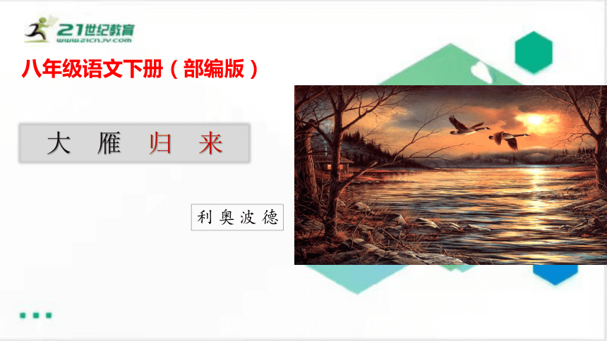 php板書設計熱愛自然保護動物——全球一體——讚美大雁遷徙群雁