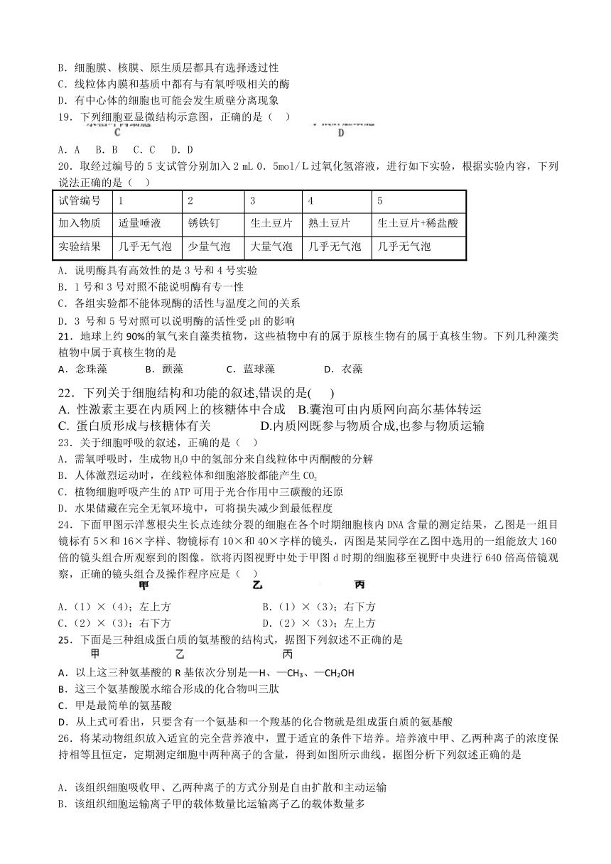 湖北省枣阳市第二中学2016-2017学年高一上学期12月月考试题 生物 Word版含答案