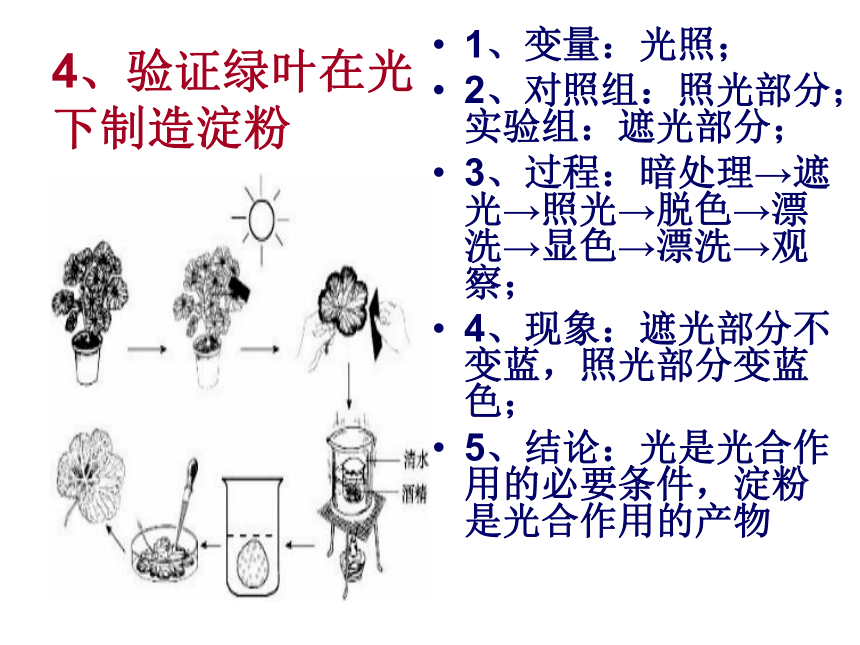 济南版初中生物科学探究专题复习（46张PPT）