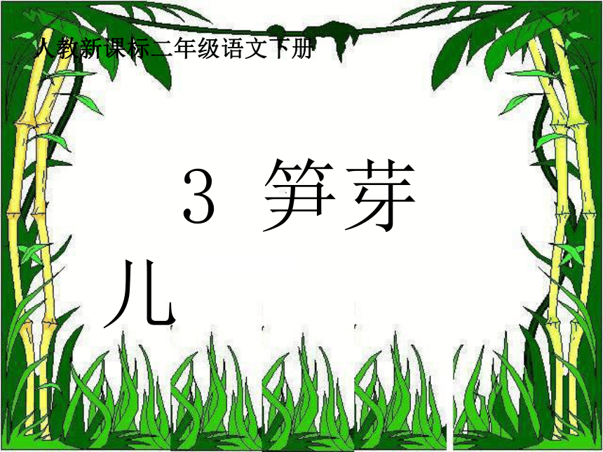 3、笋芽儿课件2