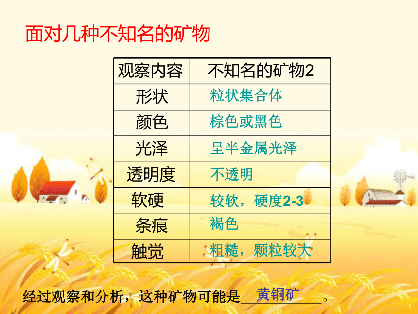 （教科版）四年级科学下册课件 面对几种不知名矿物 2