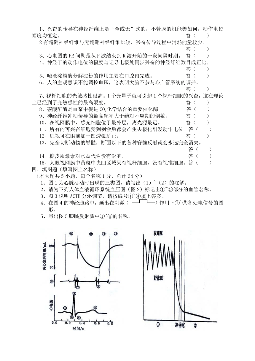 动物生理学[下学期]