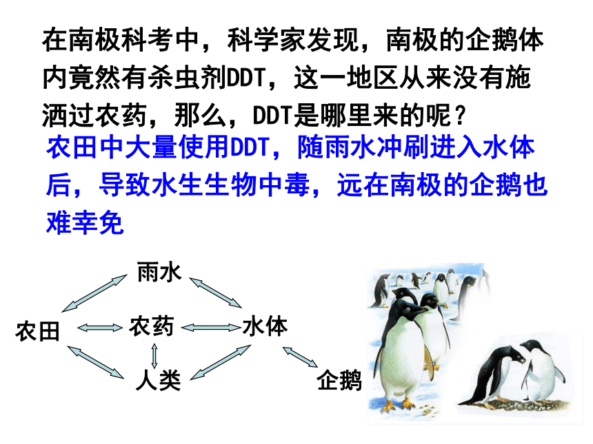人教版必修3第五章第一节生态系统的结构（共82张PPT）